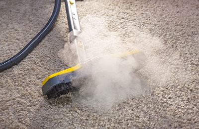 tip the carpet cleaners boerne tx